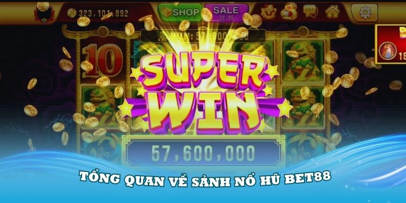 tong-quan-ve-sanh-no-hu-bet88